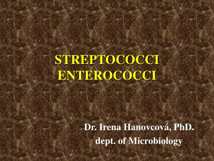streptococci enterococci