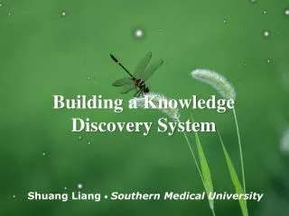 Building a Knowledge Discovery System