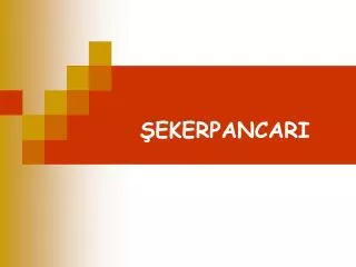 ekerpancari