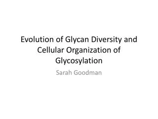 Evolution of Glycan Diversity and Cellular Organization of Glycosylation
