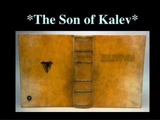 *The Son of Kalev*
