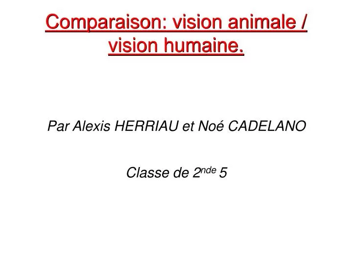 comparaison vision animale vision humaine