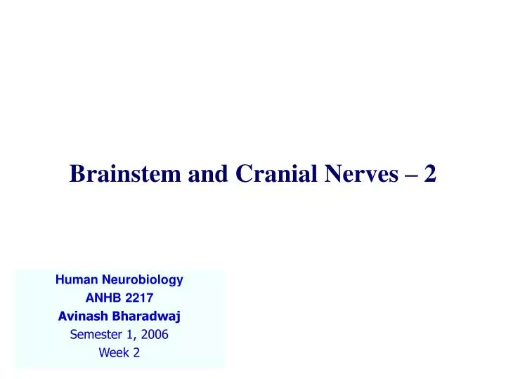 brainstem and cranial nerves 2