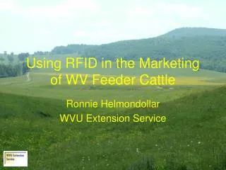 Using RFID in the Marketing of WV Feeder Cattle