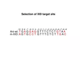 Selection of XID target site