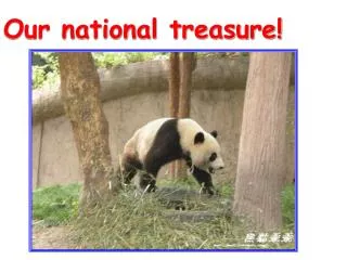 Our national treasure!