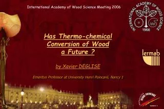 Has Thermo-chemical Conversion of Wood a Future ? by Xavier DEGLISE