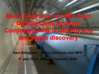 Muon Detection at CMS: from Detector and Software Commissioning to SM Physics and Higgs discovery