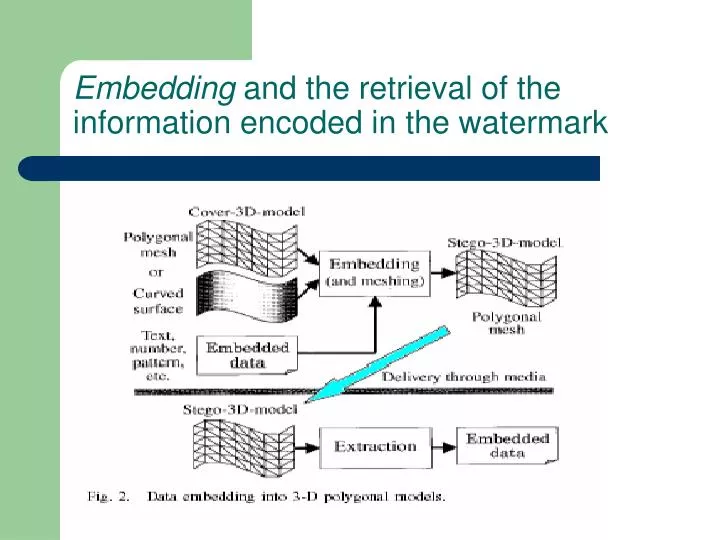 embedding and the retrieval of the information encoded in the watermark