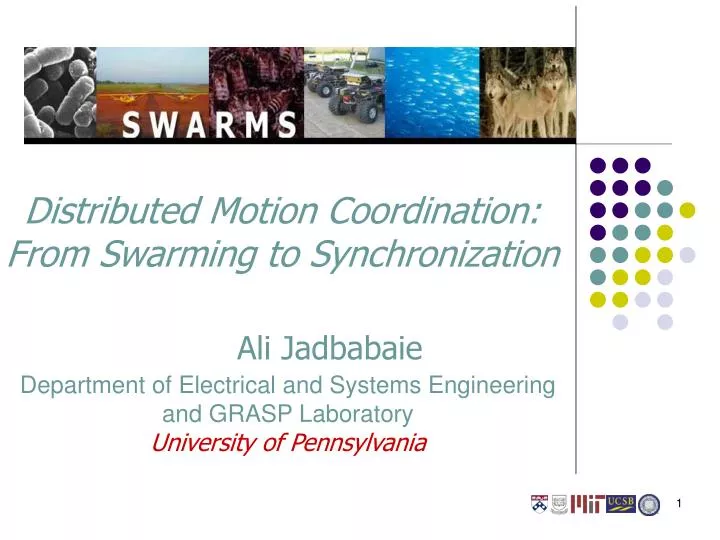 distributed motion coordination from swarming to synchronization