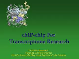 chIP-chip For Transcriptome Research