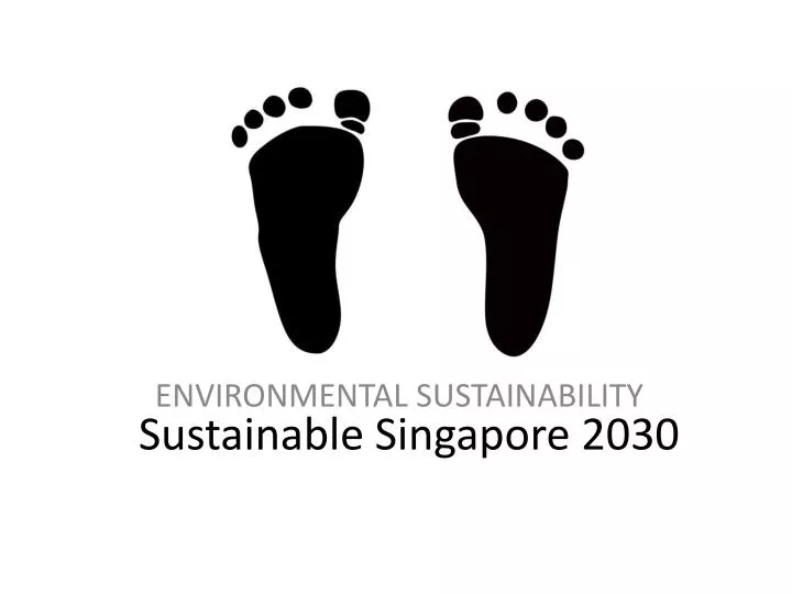 sustainable singapore 2030