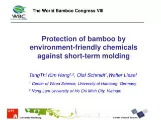 Protection of bamboo by environment-friendly chemicals against short-term molding
