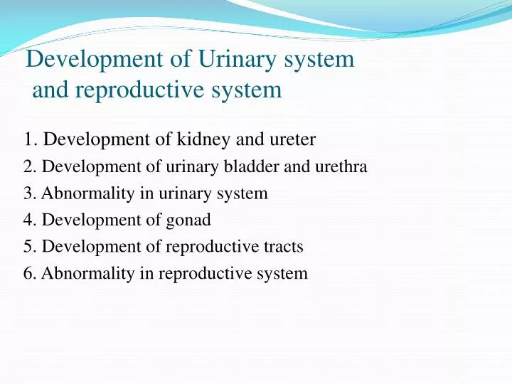 development of urinary system and reproductive system