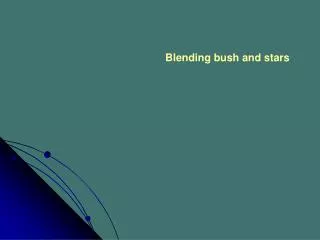 Blending bush and stars