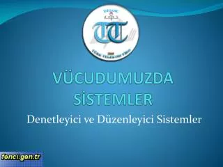 v cudumuzda s stemler