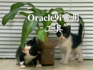 oracle9i