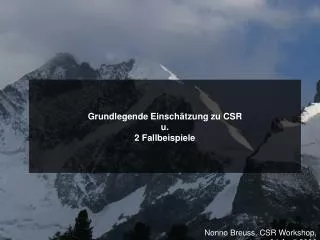 grundlegende einsch tzung zu csr u 2 fallbeispiele