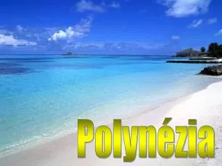 polyn zia