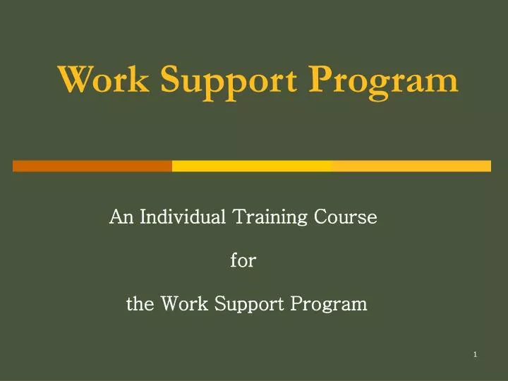 work support program
