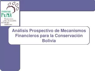 an lisis prospectivo de mecanismos financieros para la conservaci n bolivia