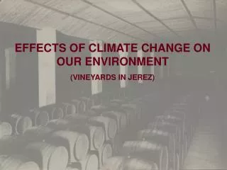 EFFECTS OF CLIMATE CHANGE ON OUR ENVIRONMENT (VINEYARDS IN JEREZ)