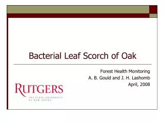 Bacterial Leaf Scorch of Oak