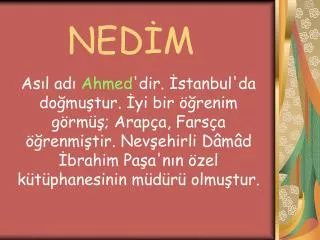 ned m