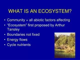WHAT IS AN ECOSYSTEM?