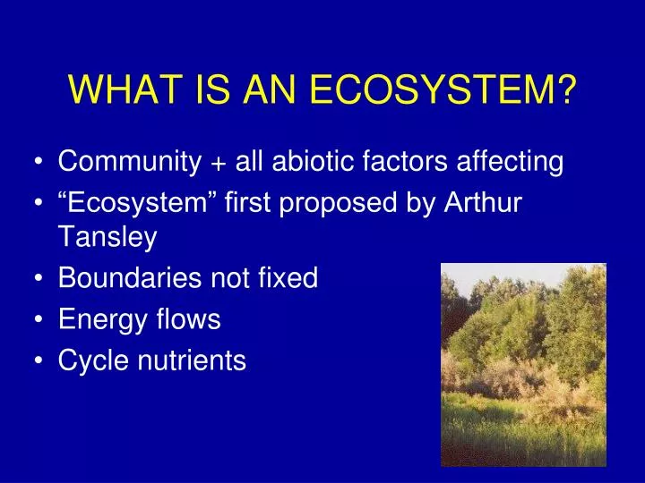 what is an ecosystem