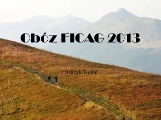 ob z ficag 2013
