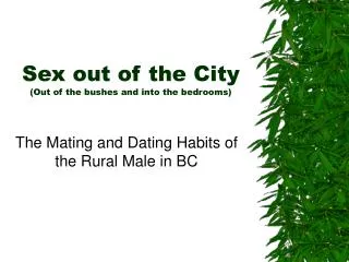 Sex out of the City (Out of the bushes and into the bedrooms)