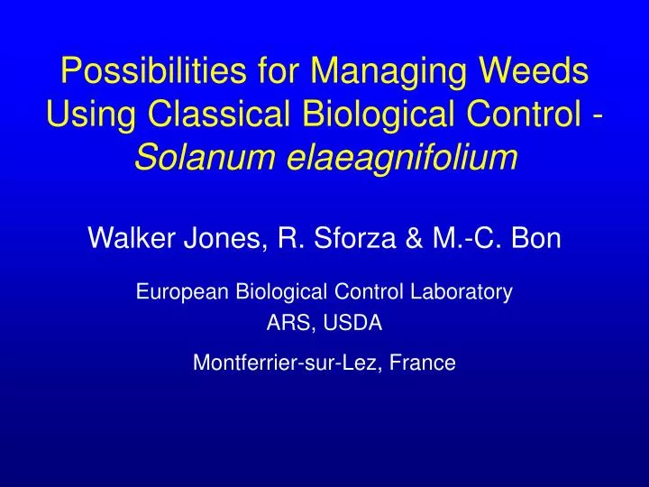 possibilities for managing weeds using classical biological control solanum elaeagnifolium