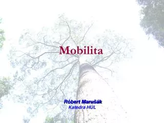 mobilita