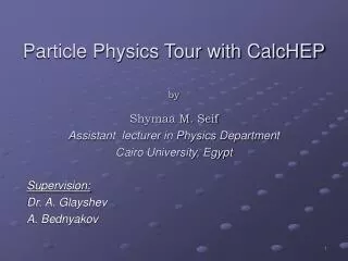 Particle Physics Tour with CalcHEP