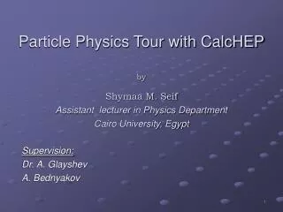 particle physics tour with calchep