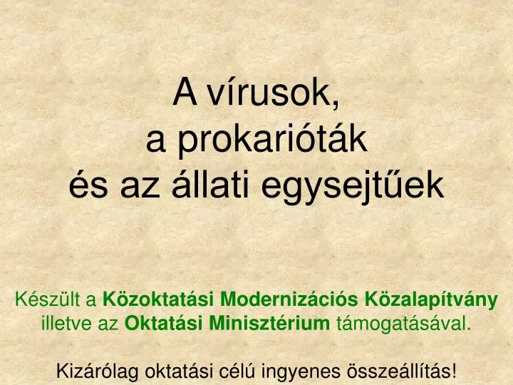 a v rusok a prokari t k s az llati egysejt ek