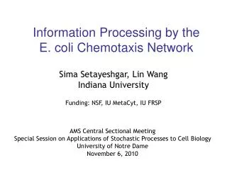 Information Processing by the E. coli Chemotaxis Network