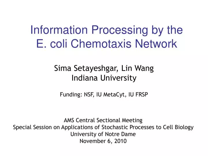 information processing by the e coli chemotaxis network