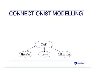 CONNECTIONIST MODELLING