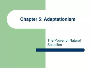 Chapter 5: Adaptationism