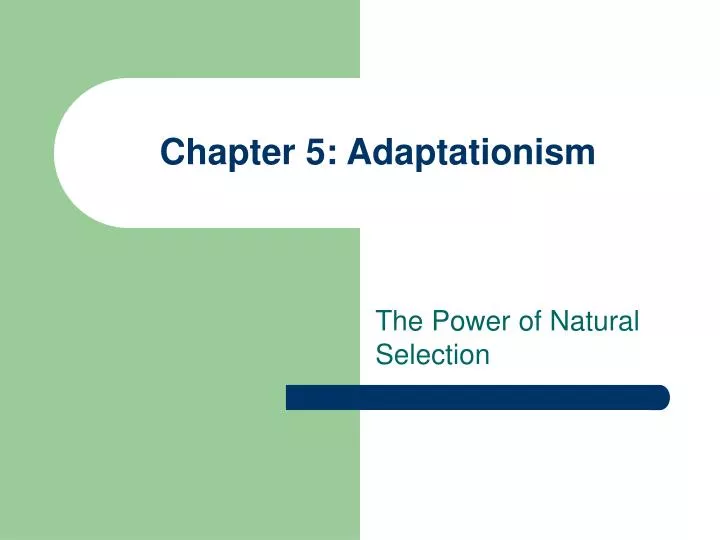 chapter 5 adaptationism