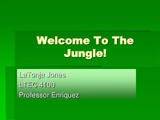 Welcome To The Jungle!