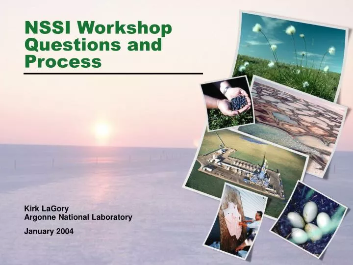 nssi workshop questions and process