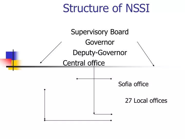 structure of nssi