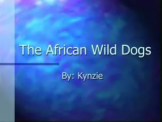 The African Wild Dogs