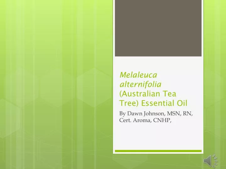 melaleuca alternifolia australian tea tree essential oil