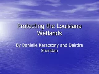 Protecting the Louisiana Wetlands