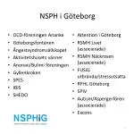 NSPH i Göteborg - slide 1