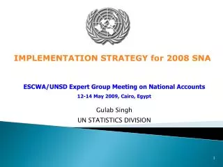 Gulab Singh UN STATISTICS DIVISION